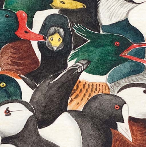 Plumes et pinceaux. Histoires de canards – Denis&nbsp;CHAVIGNY
